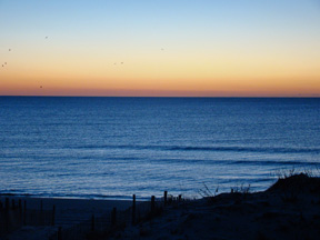 Beach Ocean Views